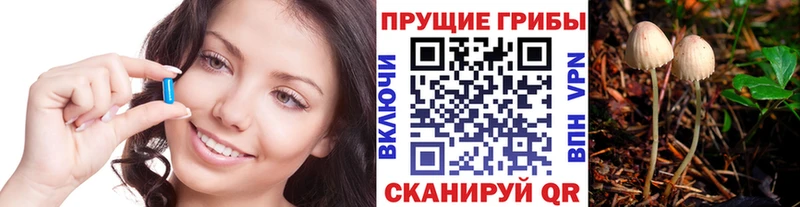Галлюциногенные грибы прущие грибы  Суджа 